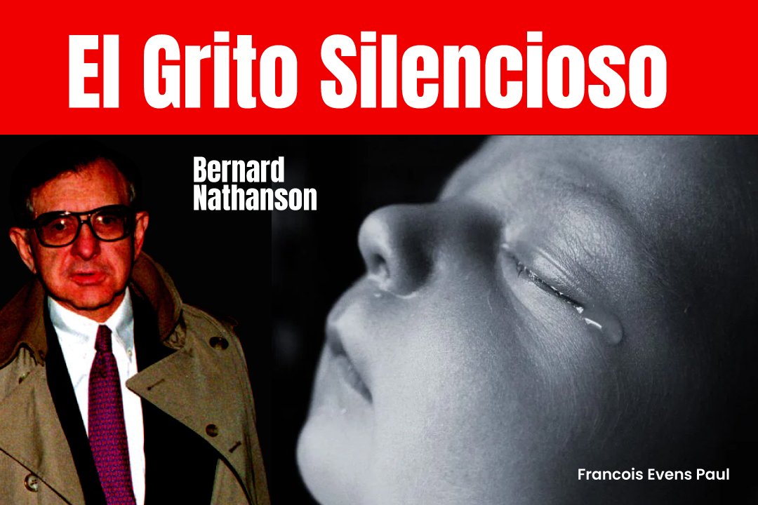 El grito silencioso